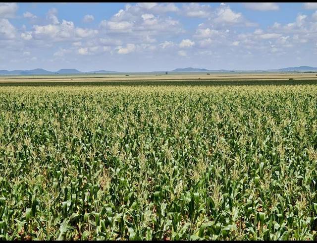 FARM FOR SALE IN BLOEMFONTEIN RURAL